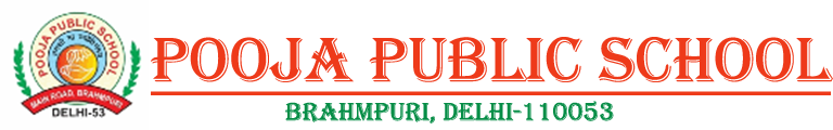 Pooja Public School, NH-9, Partapur Rd, Gandhi Colony, Brahmpuri, Delhi, Uttar Pradesh 245304
